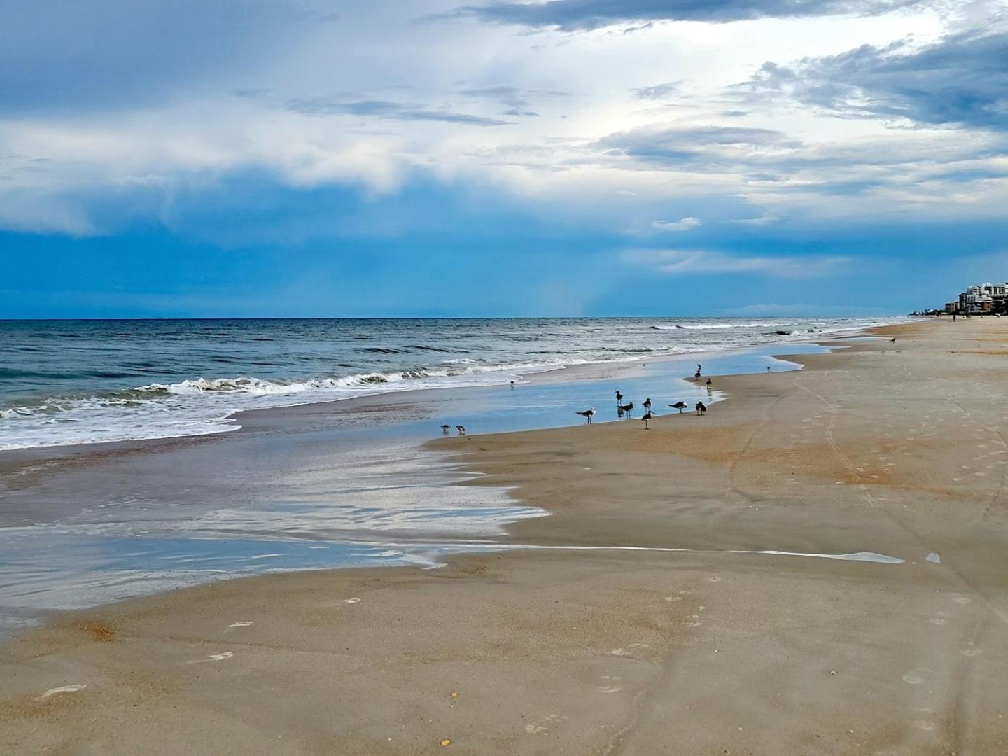 410 - Fourth Floor 1/1 Sleeps 2 Apartman New Smyrna Beach Kültér fotó